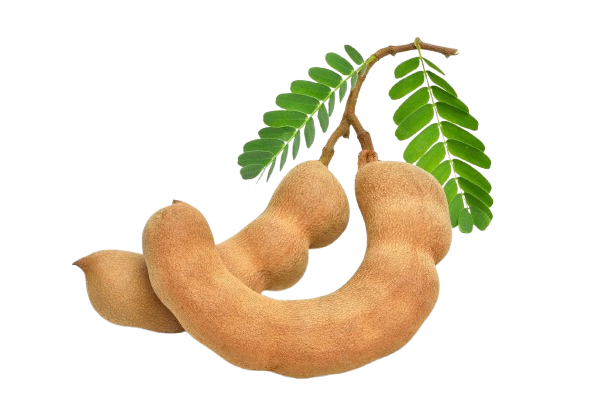 raw tamarind imli removebg preview