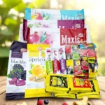 maxi deal2 / lavashak box ready to eat deal